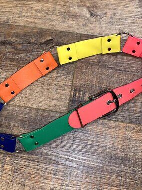 Dolls Kill Y2K Rainbow O-Ring BELT Silver Studs Fits 28"-32" Clowncore Festival